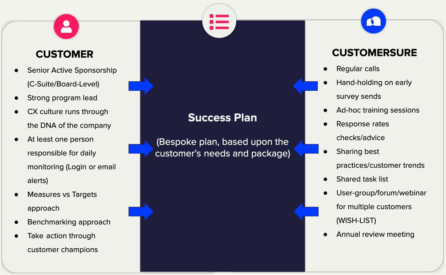 A diagram listing the inputs from CustomerSure and the client that results in a success plan