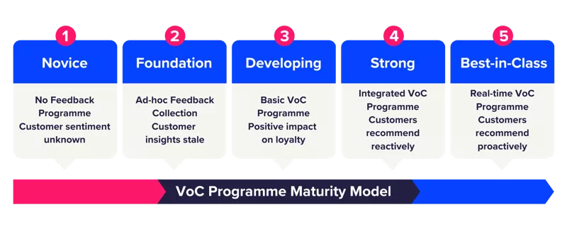 The voice of the customer maturity model